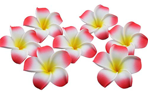 OSALADI Kunstblumen Essbare Blüten 100Pcs Plumeria Hawaiian Frangipani Plumeria Blumenk? Hawaiianische Blütenbl? für Rot Orchideen Künstlich Essbare e e