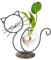 Modernes Pflanzenterrarium, Katzenform Metallständer mit Herz Glasvase, Hydrokulturvase, Pflanzen Anzuchtstation, für Home Office Dekoration (Schwarz, sitzende Katze)
