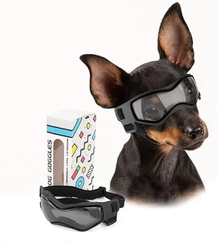 Hundebrille für kleine Rassen, Hunde-Sonnenbrille, UV-Schutz, Windschutz für kleine Hunde, Hundezubehör