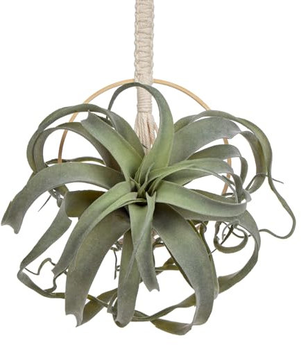 Briful Künstliche Hängende Pflanzen Sukkulenten Kunstpflanzen mit Gewebten Baumwollseil für Home Dekoration