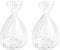 Lot de 2 vases hydroponiques en verre pour semences d'avocat, pots de fleurs pour les amateurs de jardinage (transparent)