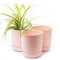 Home Garden Ornaments Large Plant Pots Indoor – Classy Indoor Plant Pot Set of 3 with Drainage Holes, Saucer and Reservoir, Self Watering Flower Pots (Diameter: 13cm, Colour: Pink)