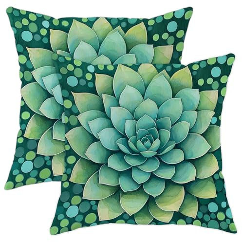 Set di 2 federe per cuscini con piante grasse di cactus, decorative, quadrate, per divano, letto, soggiorno, 45 x 45 cm