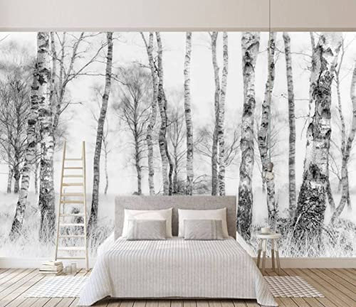 Papier Peint Panoramique Bouleau Noir Et Blanc Papier Peint 3D Intissé Decoration Murale Chambre Salon