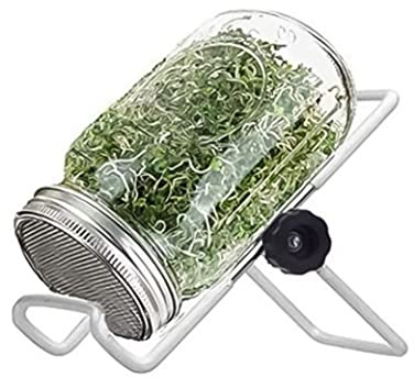 Lawnrden Pot de Germination, bocaux Mason Kit de Pot Germination Ensemble germoir graines avec Support Couvercle pour la Culture germes Haricots Luzerne Brocoli 500 ML