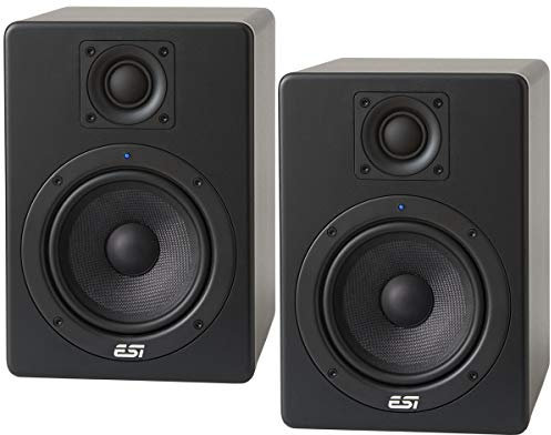 ESI Aktiv05 Active Studio - Monitor de campo cercano (1 par)