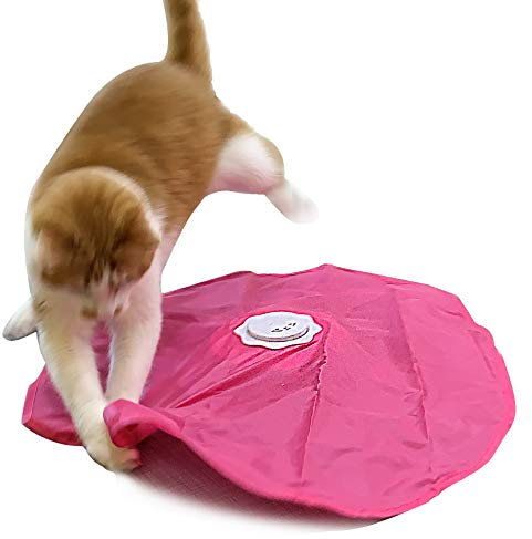 Blackhole Catch The Tail Cat Toy Interactive Play-Catch, Electric, Rotating Feather, Motion, Automatic, Best Undercover Mouse Under Blanket Cat Toy