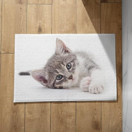 EHOMERY rutschfeste Fußmatte Fussmatte rutschfest Katze Fußmatten Haustür Außen Sauberlaufmatte Einbau 45x75cm, rutschfeste Dekorative Fußmatte Aus Plüschbaumwolle