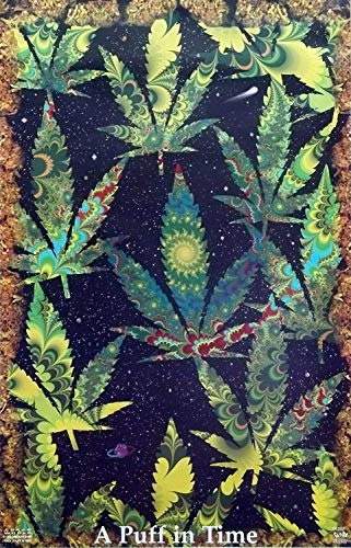YISUMEI Decke 150x200 cm Kuscheldecken Sanft Flanell Weich Fleecedecke Bettüberwurf EIN Hauch In Time Weed Ganja Marihuana
