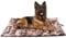 XIAPIA wasserdichte Hundematte für Outdoor, Waschbares Hundebett, Antistatik, Hygienisch, Faltbar, Große Reisedecke für Haustier 110x68 cm (Tarnbraun)
