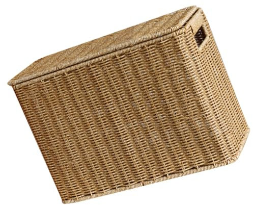 Narrow and Tall Storage Box with Lid Wicker Umbrella Holder Boho Magazine Holder Flower Sundries Storage Basket Fruit Flower Vegetable Plastic Household Baby Care
