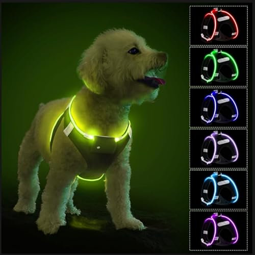 PcEoTllar Hundegeschirr Leuchtend, Leuchtgeschirr LED Aufladbar Reflektierendes, Beleuchtetes Leuchtgeschirr für Welpe Klein Mittlere Hund, Atmungsaktiv Leucht Geschirr, Schwarz(9 Modi), S