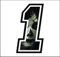 Aufkleber Zahl ANZANL Number 1 RENNEN 12 cm ZENTIMETERN - Frau Totenkopf Woman Skull - Cross spur Auto Moto Stickers