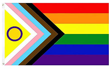 Trixes - Bandera del orgullo del progreso, bandera LGBTQIA2+, bandera del orgullo gay, bandera del arco iris, accesorios del orgullo gay, regalos LBGTQ