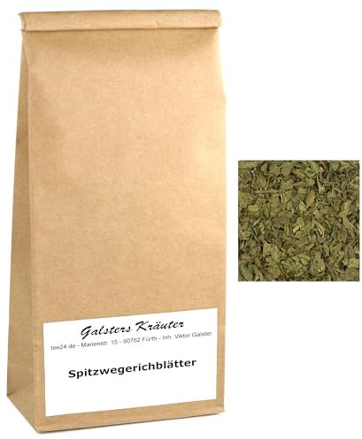 300g Spitzwegerichblätter Spitzwegerich-Tee Plantago lanceolata | Galsters Kräuter