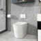 Rimless Back to Wall Toilet with Concealed Cistern Modern Round BTW Short Projection Toilet White Ceramic WC Pan Soft Close Seat Compact Toilets for Bathroom Eco Flush WC