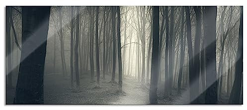 Pixxprint Glasbild Panorama, Wandbild aus Echtglas, Düstere Landschaft schwarz weiß, 100x40 cm, inkl. Aufhängung und Abstandshalter