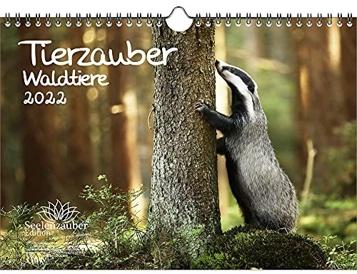 Tierzauber Waldtiere DIN A4 Kalender für 2022 Tiere im Wald - Seelenzauber