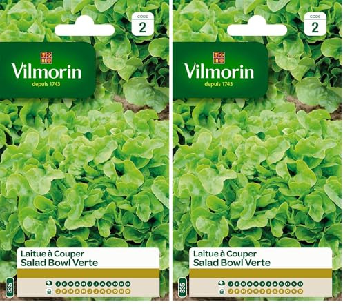 Vilmorin 3609742 Pack de Graines Laitue à Couper Salade Bol Vert (Lot de 2)