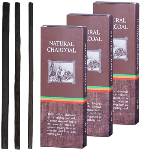 KASLCWA Juego de 34 Lápices de Carbón para Dibujo, Varillas Negras para Dibujar, Palos de Carbón Bosquejo, Lápices de Sauce para Principiantes, Diseñadores