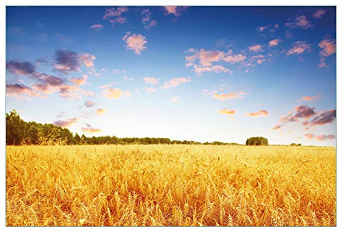 Wallario Küchenrückwand selbstklebend 90 x 60 cm, Motiv: Weizenfeld unter blauem Himmel | Spritzschutz abwischbar & pflegeleicht