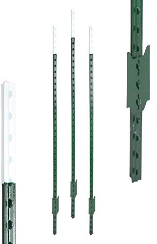 Eider Landgeräte GmbH T-Pfosten 213 cm, grün lackiert,10 Stück, Hochwertige Qualität - nahezu unverwüstlich