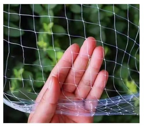 Vogelabwehrnetz Feinmaschig, Extra Stark Transparent Obstbaum Vogelschutznetz teichnetz, Erfüllt Seine Aufgabe Sehr Gut Darin, Tauben und Andere Vögel von Gärten und Gehegen ( Color : 2.5cm , Größe :