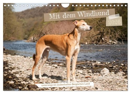 Mit dem Windhund unterwegs im zauberhaften Bergischen Land (Wandkalender 2026 DIN A4 quer), CALVENDO Monatskalender: Edler Galgo in traumhafter Natur (CALVENDO Tiere)