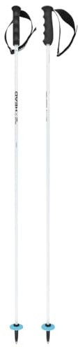 HEAD Unisex-Adult Worldcup Rebels Carbon Skistöcke, Weiß/Schwarz/Speedblau, 140