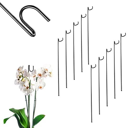 KADAX Blumenstütze, 10 Stück, Pflanzenstütze aus Stahl, Höhe: 50 cm, dekorative Stützstäbe für Orchideen, Blumen, Pflanzen, Zimmerpflanzen, Blumentopf, Rankhilfe, Rankstäbe (gerade)
