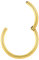 PROSTEEL 18k vergoldet Nasenpiercing Ohrpiercing 20G/0,8mm Segmentring Clicker Septum Daith Tragus Helix Rook Piercing Ring 9mm Coole Körper Schmuck Accessoire