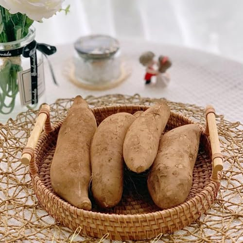 200 Pcs Yacon Samen Bio, Yacon Pflanze Samen Bäume Garten Winterhart, Obstbaum Früchte (Smallanthus Sonchifolius) Exotische Pflanzen Winterhart, Obst Samen Garten Geschenk Gartenpflanzen
