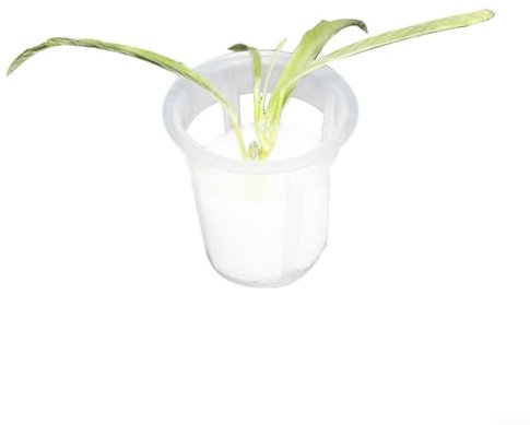 Lot de 50 paniers d'intérieur en mousse pour plantes de balcon - 30 x 35 mm