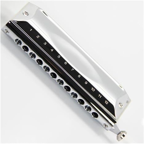 Professionelle chromatische Mundharmonika mit Kupferkammzug. Stilvoller silberner Profi-Spieler Mundharmonika-Set