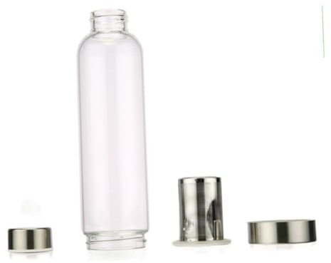 Ciieeo Bouteille Eau Verre Borosilicate de Transport Infuseur Intégré pour Boissons Chaudes Froides