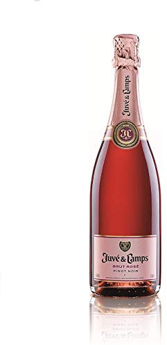 Juvé y Camps Brut Rosé Pinot Noir Cava (1 x 0.75l)
