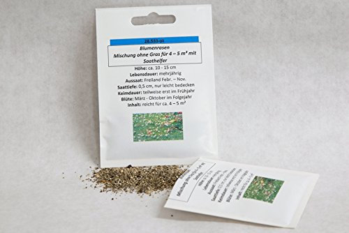 4-5 m² Blumenrasen mehrjährig (Mischung ohne Gras, mit Saathelfer) Blumenmischung Blumensamen Blumensaat