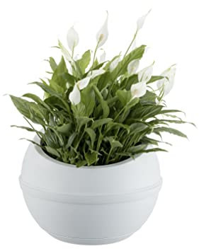 Kugelvase mit Untersetzer aus EIS