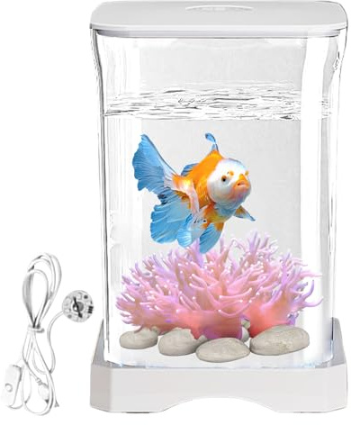 Betta Aquarium – kleines Becken Betta, Aqua-Starter-Set, Acryltank mit LED-Beleuchtung, Form | für Wasser, Bürodekoration, Krabben, Spinnen