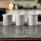 HOMELOX Set Of 3 Ceramic Tea Coffee Sugar Canisters Jars Geo Embossed Storage Jars Pots