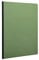 Clairefontaine 791403C Heft A4, Leinen, Age Bag, blanko, 96 Blatt, grün