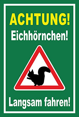 Melis Folienwerkstatt Aufkleber Eichhörnchen langsam Fahren - 45x30cm – 20 VAR S00359-160-E
