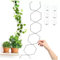 BlissfulAbode 18pcs Vielseitige Kette Spalier Sechseckige Ringe für Kletterpflanzen Garten Dekor Wetterbeständig DIY Pflanzenunterstützung Indoor Outdoor