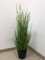 mucplants Künstliches Foxtail Gras im schwarzen Topf ca. 85cm grün Kunstgras Kunstpflanze Zierpflanze