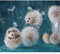 Puzzle 2000 Teile - Jigsaw Puzzle für Erwachsene - Buntes Puzzle 2000 Teile Erwachsene, Motiv:Süßer Igel, 2000 Teile Puzzle, Puzzle Erwachsene 2000 Teile, Puzzel,2000 Puzzle 70X100cm（27.55 * 39.37inc