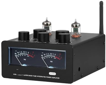 Amplificatore valvolare T6PRO HIFI TPA3255 Amplificatore di potenza valvolare JAN5654 300W+300W con VU meter