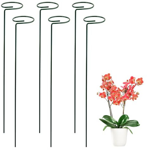Plant Support Stakes, 90cm Plant Stakes for Flowers, 6 Pack Garden Single Stem Plant Support, Tall Climbing Cages Stakes Metal Garden Plant Stakes for Amaryllis Orchid Rose Peonies Tomatoes