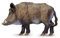 Safari Ltd. Wildschwein-Figur – Detaillierte 8,9 cm große Kunststoff-Modellfigur – lustiges pädagogisches Spielzeug für Jungen, Mädchen und Kinder ab 3 Jahren, Braun