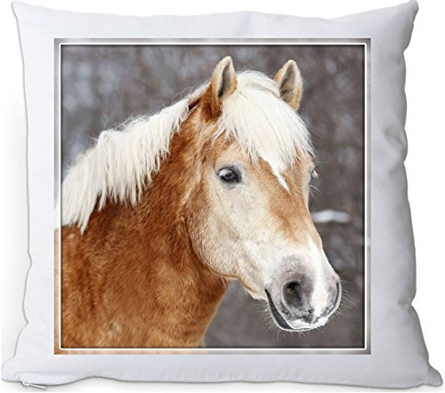 +++ HAFLINGER Pferd - Kuschelkissen/KISSEN | PILLOW/Dekokissen - HFL 52