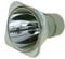 BTsan SP-LA-MP-061 Replacement Projector Bulb for Info-cus IN104 / IN105